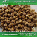 Agaricus Extract, Agaricus Fruit Extract, Agaricus Extract 20:1 with Best Quality
